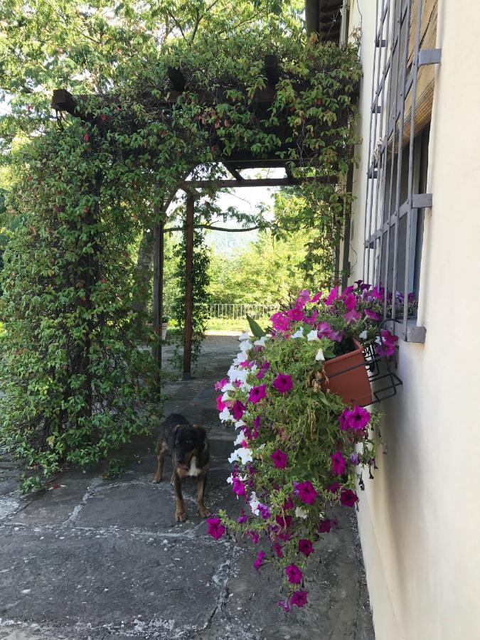 Il Pezzatino Casa de hóspedes Rufina Exterior foto